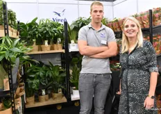Bart Guijt en Larissa van Koppen toonde een deel van het assortiment dat zij hebben aan groene planten en potrozen.